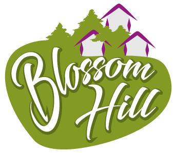 logo-blossom